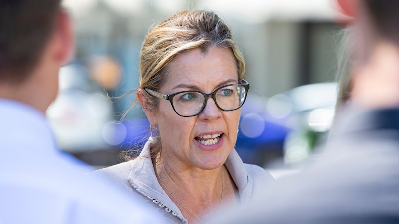 Fortescue harassment lawsuit sparks demand for answers from WA inquiry chair