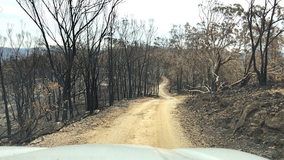 Surveying the fire’s destruction around Glover’s property.