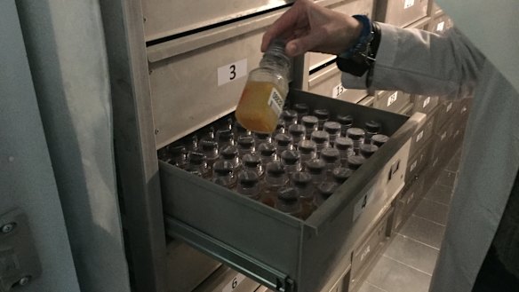 In samples analysed between January 2012 and August 2015 submitted by whistleblower Grigory Rodchenkov, investigators identified 578 suspicious samples from 298 athletes.