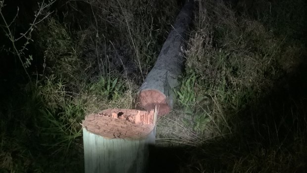 The power pole cut down with a chainsaw in Muswellbrook.