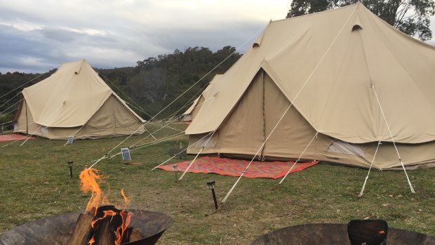 Some of the tents that will be used at Tidbinbilla.