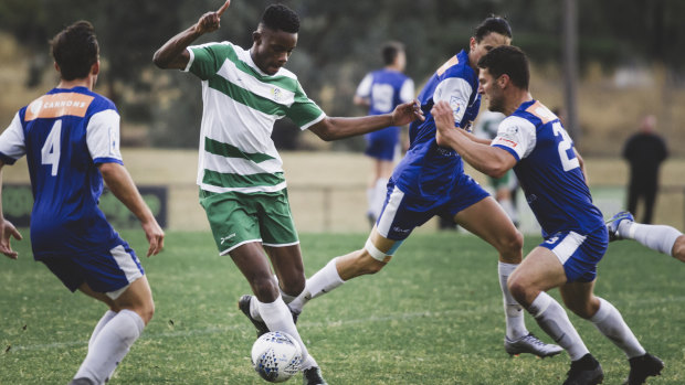 Tuggeranong United are in the Canberra premier league finals for the first time since 2003.