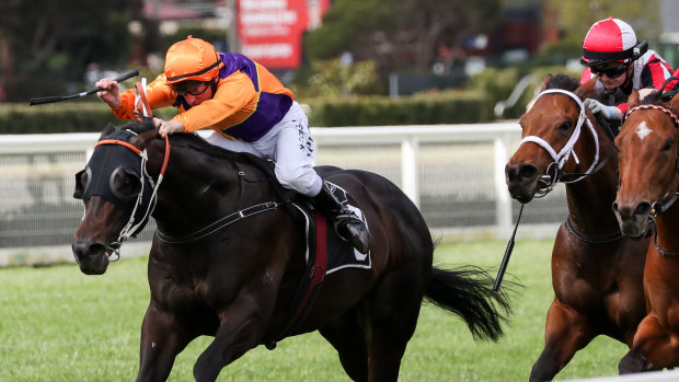 Willy Pike gets busy on Dirty Work in the  Schillaci Stakes.