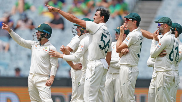 The Australians led by Mitchell Starc watch a replay after Mitchell Santner was given not out by the third umpire.