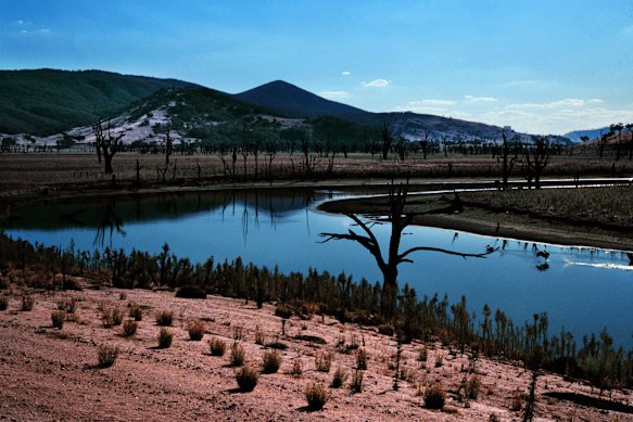 The Murray-Darling Basin is only now emerging for the driest spell on record.