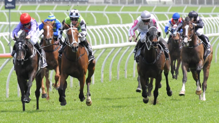 Nine races are on the schedule at Randwick today.