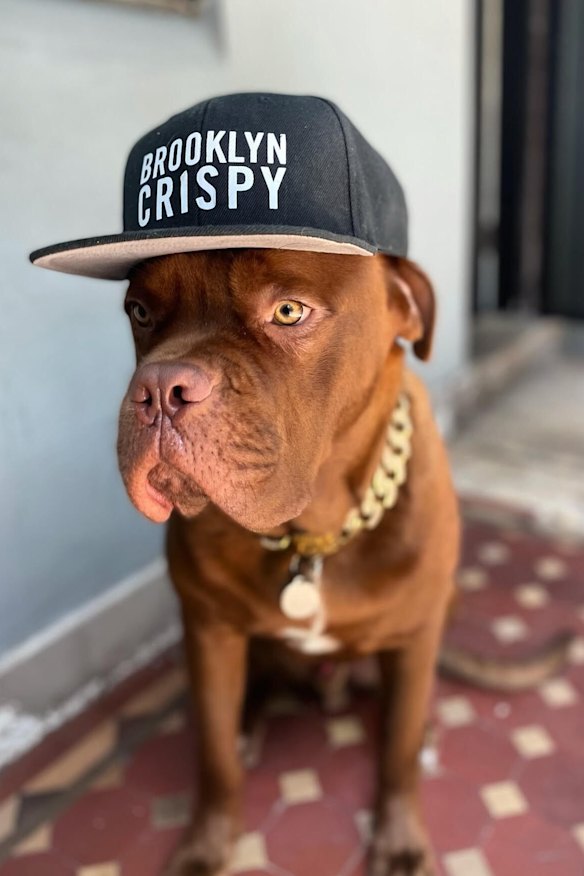 One of Hamilton’s shop “regulars”, according to a news story from the time.