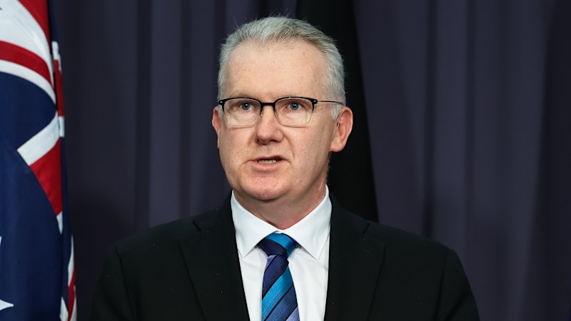 Hanson's ISIS ban puts deportation of 750 criminals at risk: Burke