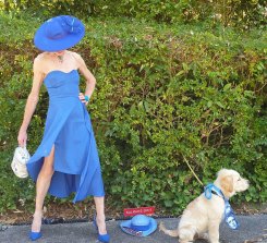 Michelle Trebilco con un vestito comprato in un negozio di opp con il suo cane, Matisse.