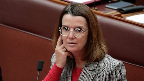 Social Services Minister Anne Ruston will attempt to revive the government's failed attempts to introduce drug testing trials for job seekers.