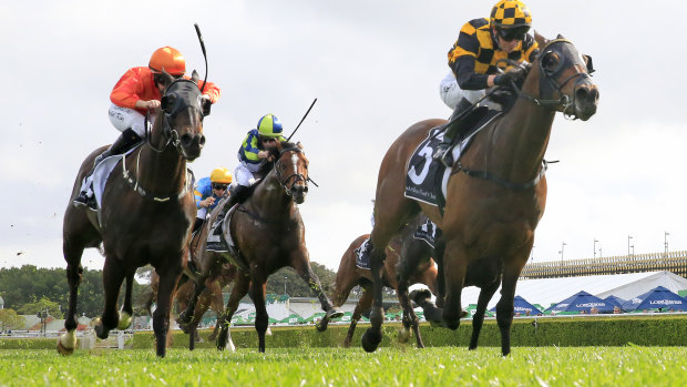 The connections of horses running in the Cox Plate will be allowed on course.