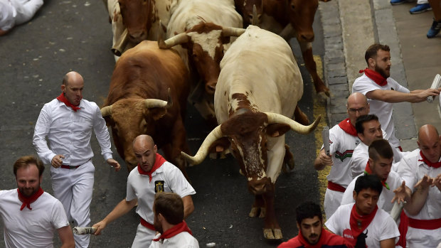 The market bulls are back in control 