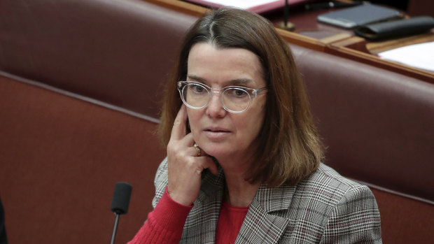 Social Services Minister Anne Ruston will attempt to revive the government's failed attempts to introduce drug testing trials for job seekers.