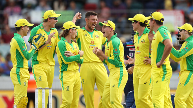 The Australian team celebrate the wicket of Virat Kohli in Canberra on Wednesday. A far bigger contest is playing out behind the scenes.