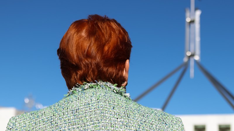 One Nation is divisive about most things, even Neanderthals