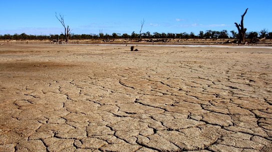 'Worrying': Companies' reporting of climate risks goes 'backwards'