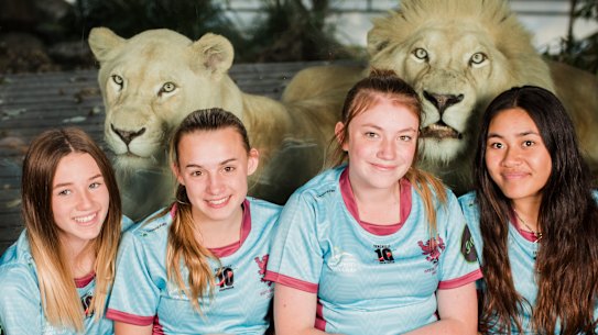 Wests Lionesses recruiting women for rugby revival after 10 years