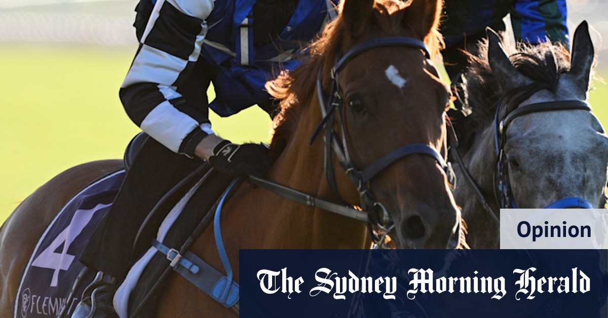 Why Vauban will win the race on his third attempt