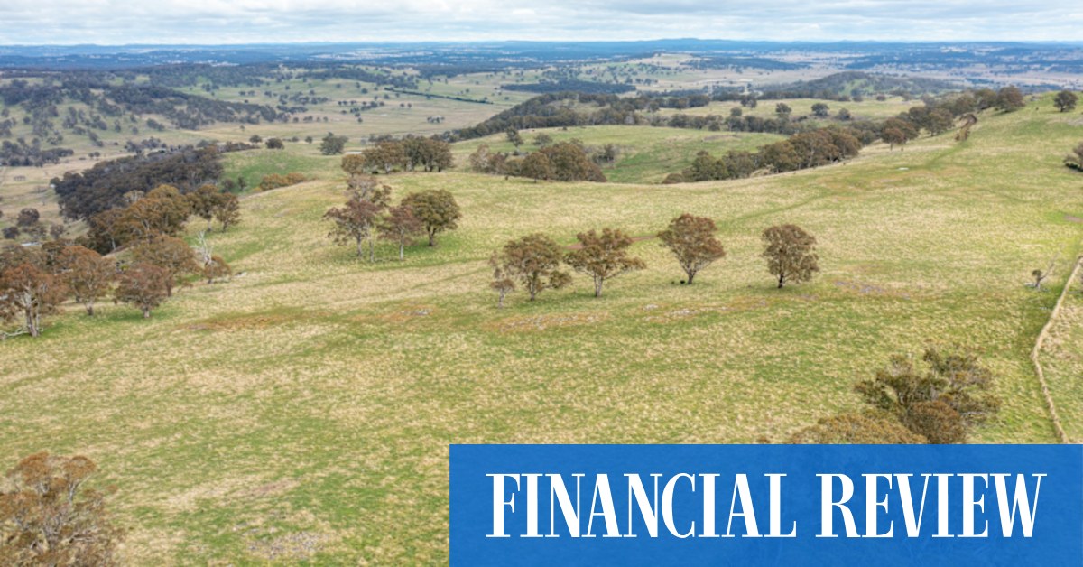 Rural auctions cooling, says Ray White Rural NSW agent Bruce Birch - Vimarsana News