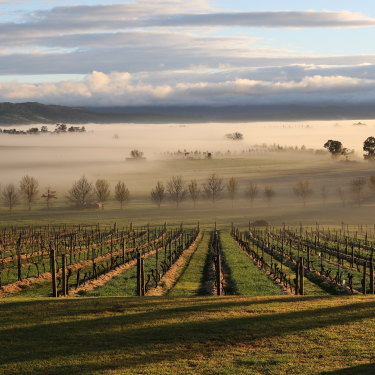 Mount Mary Vineyard in the Yarra Valley.