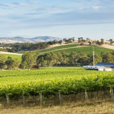 Hentley Farm in the Barossa Valley.