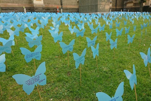 To mark Moore-Gilbert’s 800th day in prison, campaigners placed 800 cardboard butterflies outside Melbourne’s St Paul’s Cathedral. 