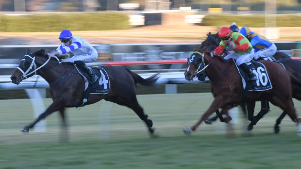 A touch of arrogance: Kaonic streets the opposition on his return to racing last month.