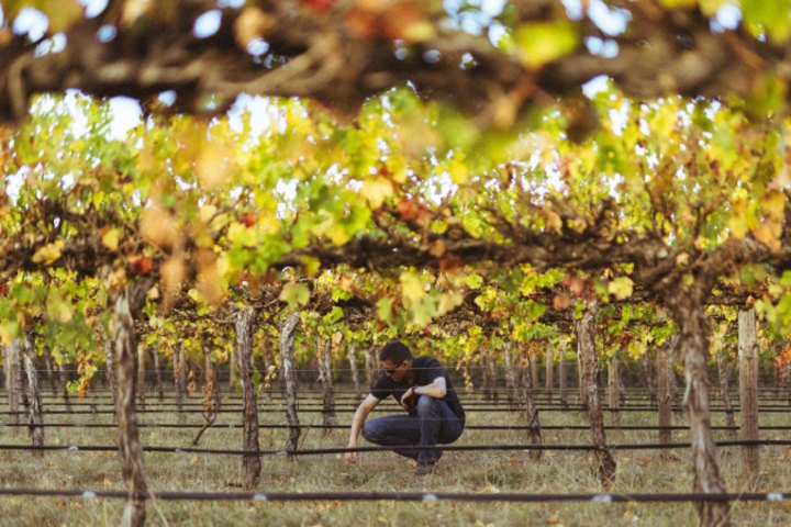 The Penley Estate in the Coonawarra is on the market for the first time.