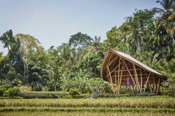 The Sacred Nap takes place in a specially designed hut-type structure immersed in nature. 
