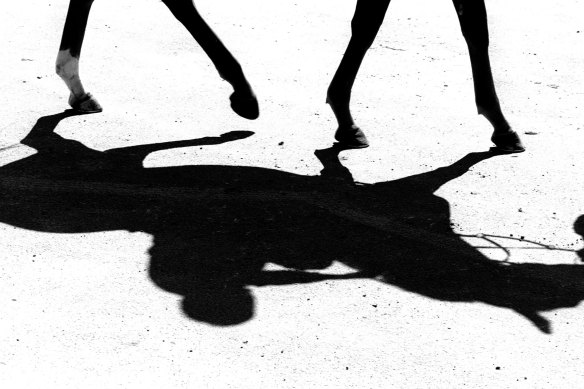 Racing returns to the Sapphire Coast on Monday.