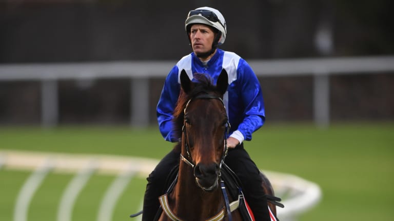 "In the twilight": Winx ridden by Hugh Bowman.