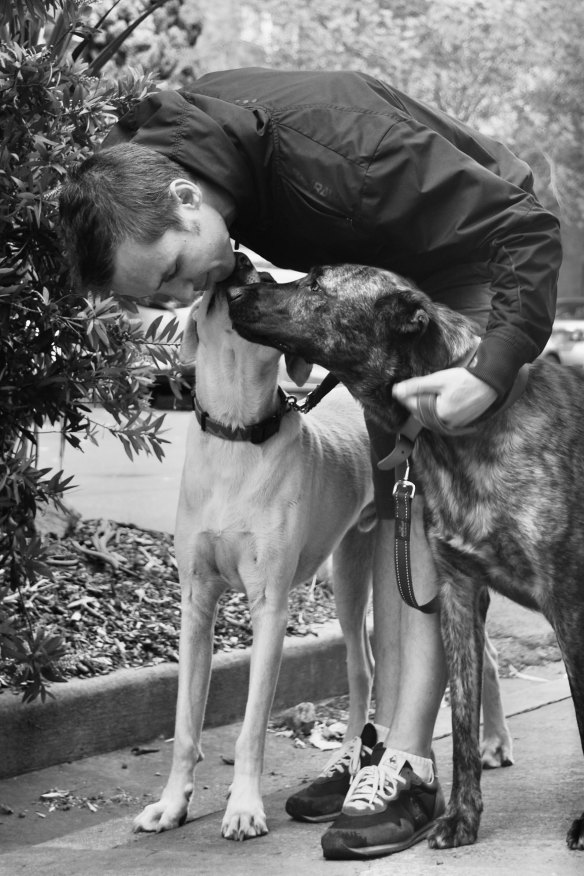 Markus Zusak with Archer and Reuben. Even the painful moments with his dogs were “gifts that just keep giving”, says the writer.