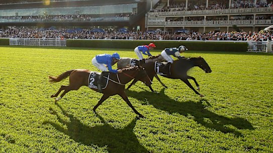 Hitotsu shows the best qualities of racing winning the Australian Derby at Randwick on Saturday