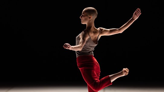 The choreography of Decadance suits the current crop of Sydney Dance Company dancers.