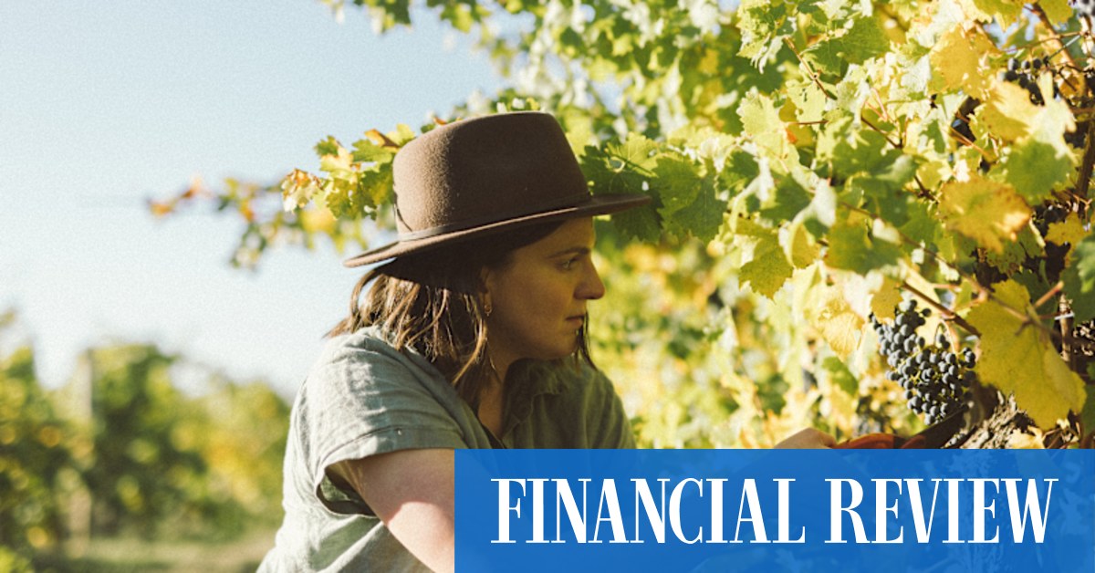 How an old-school SA winery found its hipster groove - Vimarsana News