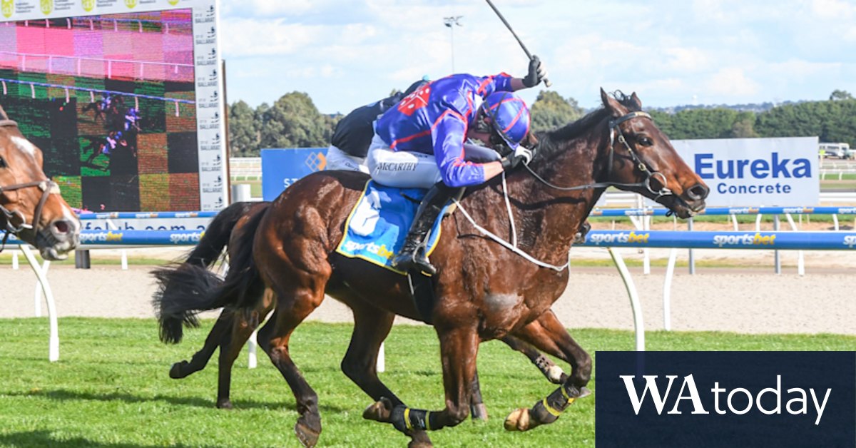 Horse dies after fall during feature race at Warrnambool Flipboard