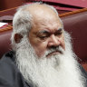 Pat Dodson says Ken Wyatt "needs the support of his leader. If he doesn't have that then he's playing with coconuts in the sea". 