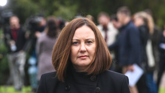 Assistant Commissioner Lauren Callaway spoke to media about proposals to register and track high-risk family violence perpetrators.