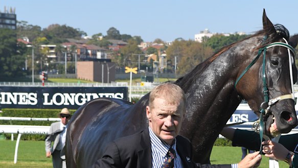 Job well done: Bernie Kelly with his Provincial Championship winner Bobbing.