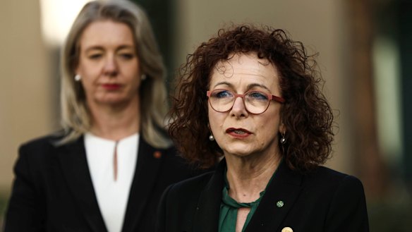 Anne Webster has formed a group of MPs to tackle abuse on social platforms.