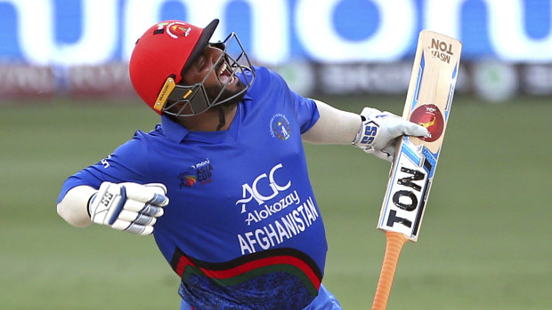 Belligerent: Afghanistan's Mohammad Shahzad celebrates his century against India.