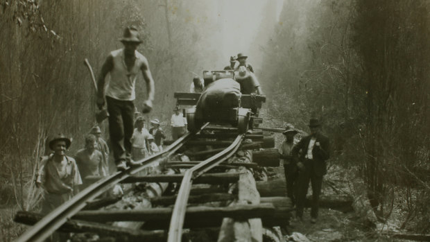 Refugees from the Ada Mill near Noojee emerge from a dugout. 