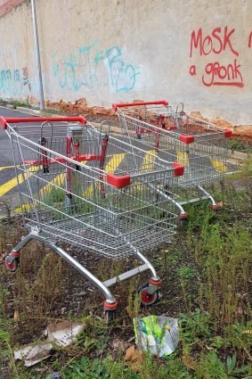 Graffiti and abandoned trolleys are among the most common complaints lodged by Australians so far in 2022.