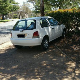 A P-plater parked in a garden bed.