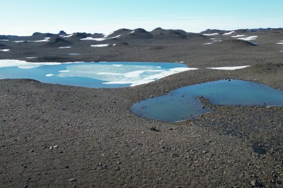 The scientists were based in a remote deep field camp in Antarctica’s Bunger Hills for two months.