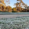 Frost blanketed windscreens, grass and playground equipment on Saturday morning.