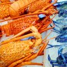 Wine, lobsters could be next in China-Australia trade thaw