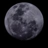 Blue supermoon dazzles Victorian stargazers