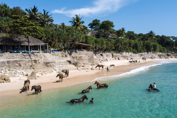 On the Indonesian island of Sumba, horses play an intrinsic role in daily life.  