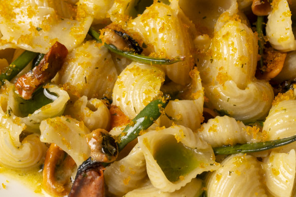 Conchiglie con le cozze, garlic mussels, dill, bottarga.